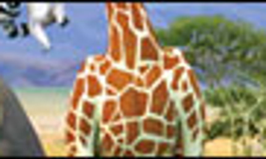 Box-office québécois : Madagascar 2 : La grande évasion fait une entrée remarquée