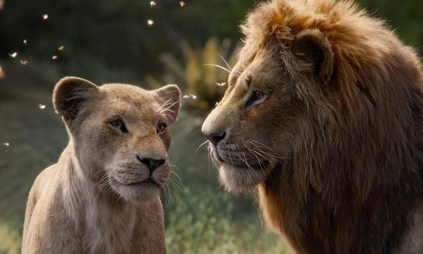 Disney développe une suite à The Lion King en prises de vue réelles