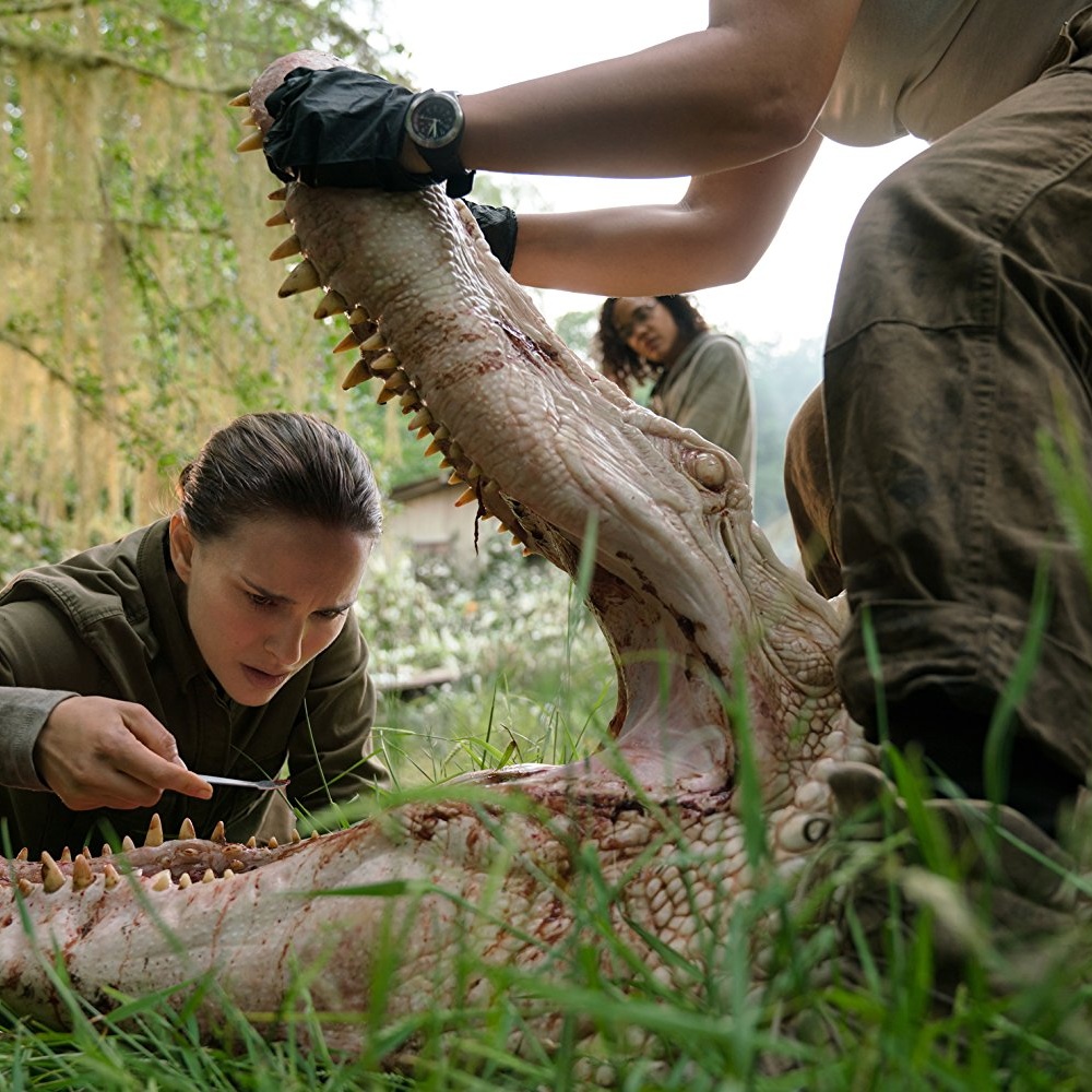 Une scène du film Annihilation