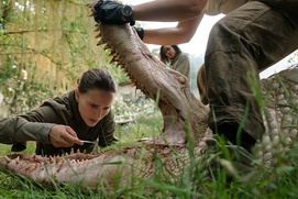 Une scène du film Annihilation Une scène du film Annihilation