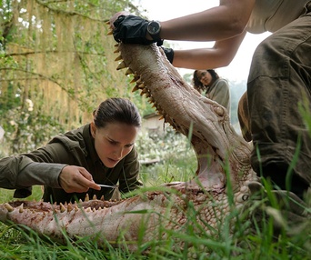 Une scène du film Annihilation