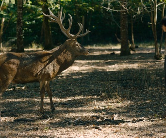 Image du film Coeurs vaillants