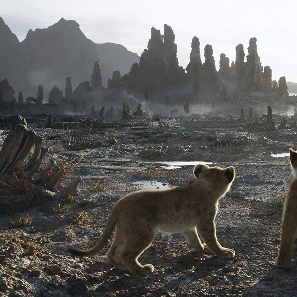 Une scène du film The Lion King