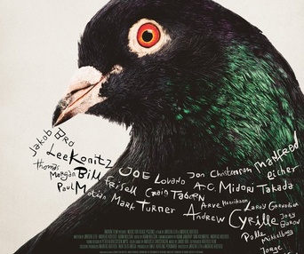 Affiche du film Music for Black Pigeons