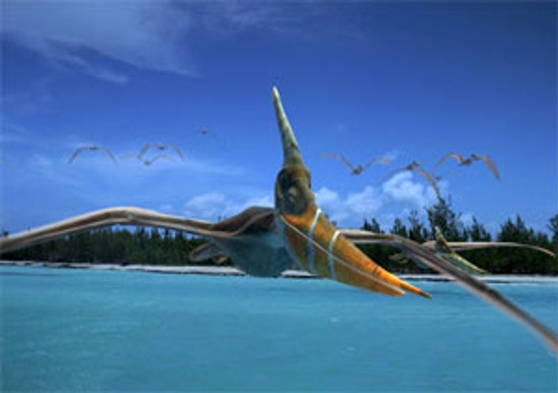 Un pleranodon qui vole au dessus de l'eau bleu