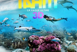 Affiche du film Tahiti 3D : La vague ultime