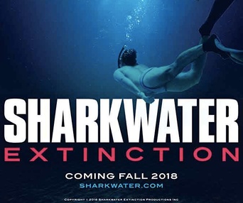 Affiche du film Sharkwater Extinction