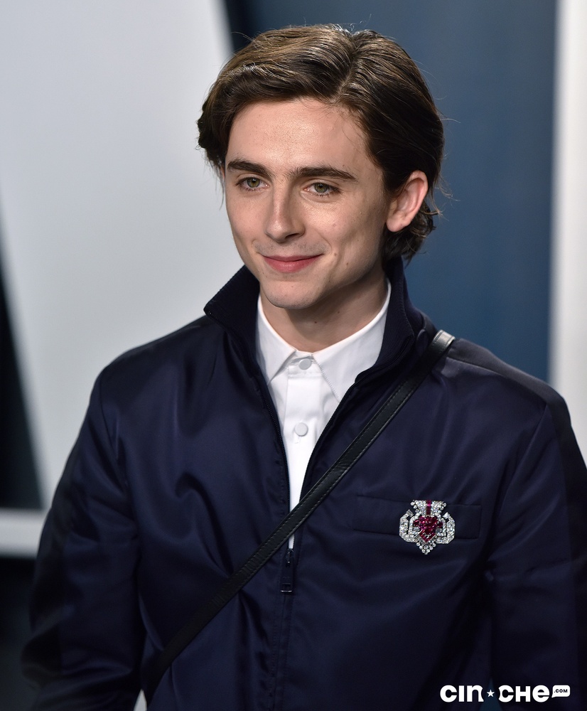Sur le tapis rouge du party Vanity Fair des Oscars 2020