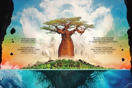Affiche du film Revolution