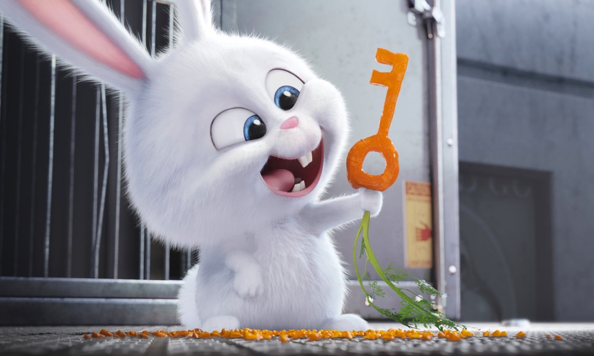 Sorties Blu-Ray et DVD : The Secret Life of Pets
