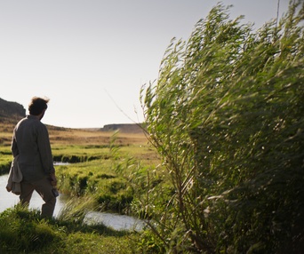 Image du film Les herbes sèches