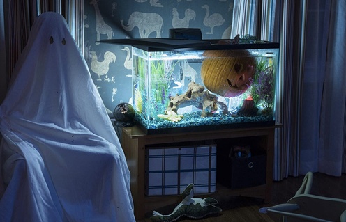 Une scène du film Halloween