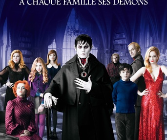 Affiche du film Ombres et ténèbres