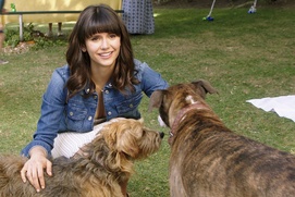 Une scène du film Dog Days Une scène du film Dog Days