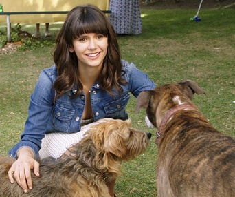 Une scène du film Dog Days