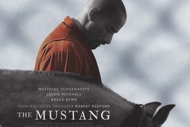 Affiche du film The Mustang Affiche du film The Mustang