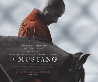 Affiche du film The Mustang