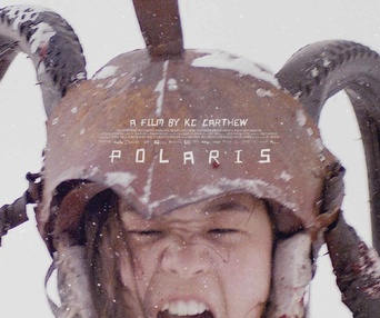 Affiche du film Polaris