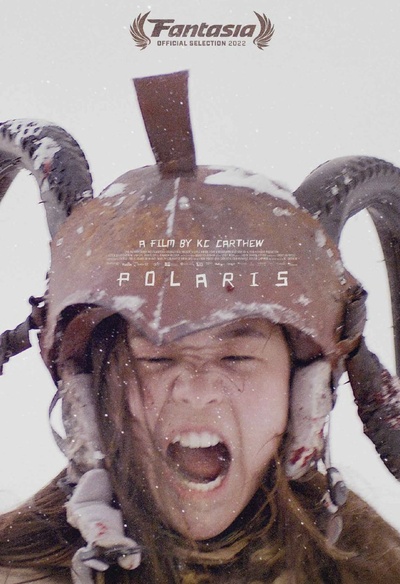 Affiche du film Polaris