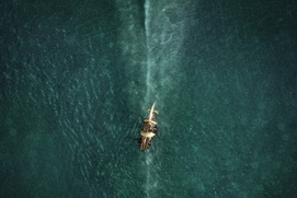 Affiche du film In the Heart of the Sea Affiche du film In the Heart of the Sea
