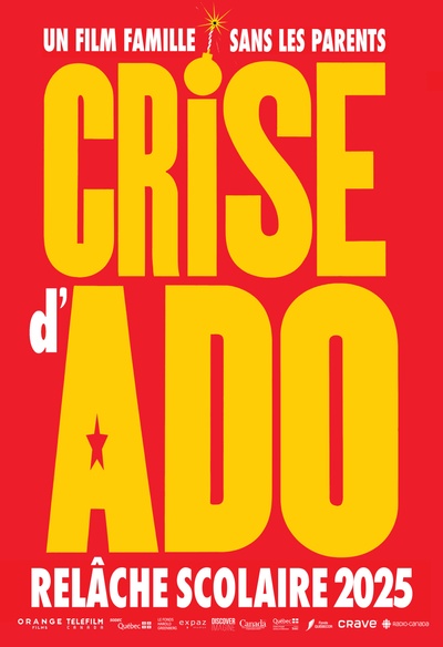Affiche du film Crise d'ado