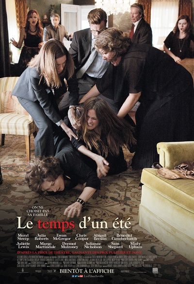 Affiche du film Le temps d'un été