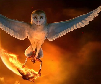 Une scène du film Legend of the Guardians: The Owls of Ga'Hoole