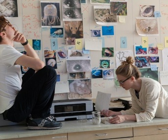 Une scène du film I Origins