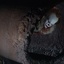 Une scène du film It