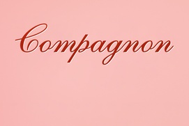 Affiche du film Companion