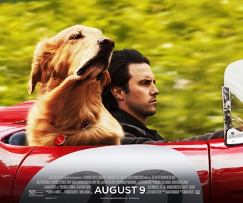 Affiche du film The Art of Racing in the Rain