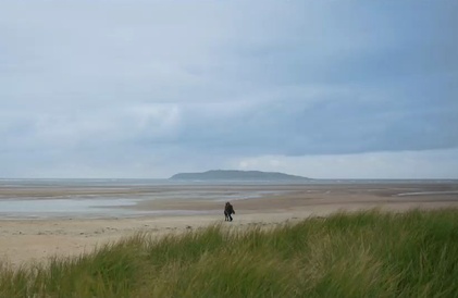 Bande-annonce en anglais