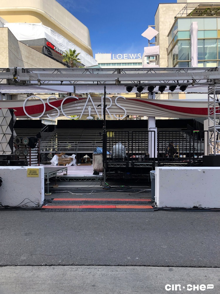 Tapis rouge des Oscars 2019