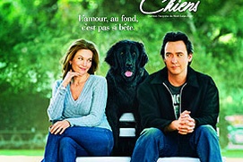 Affiche du film Doit aimerl les chiens Affiche du film Doit aimerl les chiens