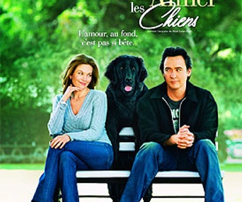 Affiche du film Doit aimerl les chiens