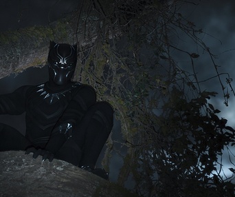 Une scène du film Black Panther