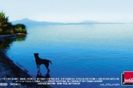 Images du film Adieu au langage