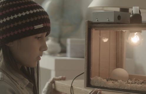 Une scène du film Les oiseaux de passage