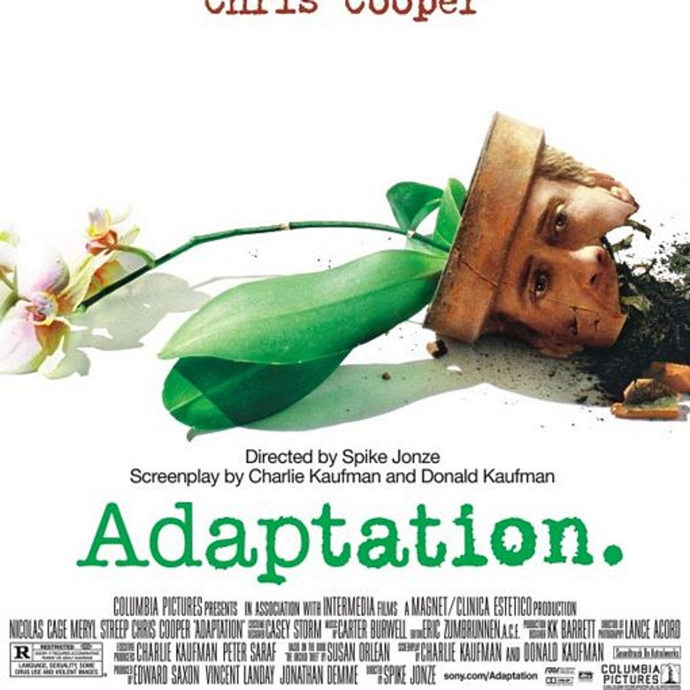 Affiche du film Adaptation
