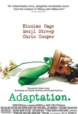 Adaptation