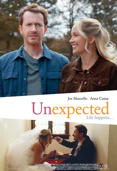 Affiche du film Unexpected