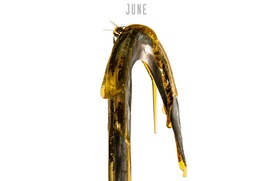Affiche du film Candyman
