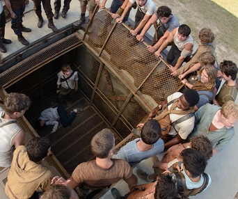 Une scène du film The Maze Runner