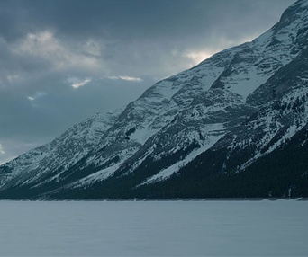 Une scène du film The Revenant