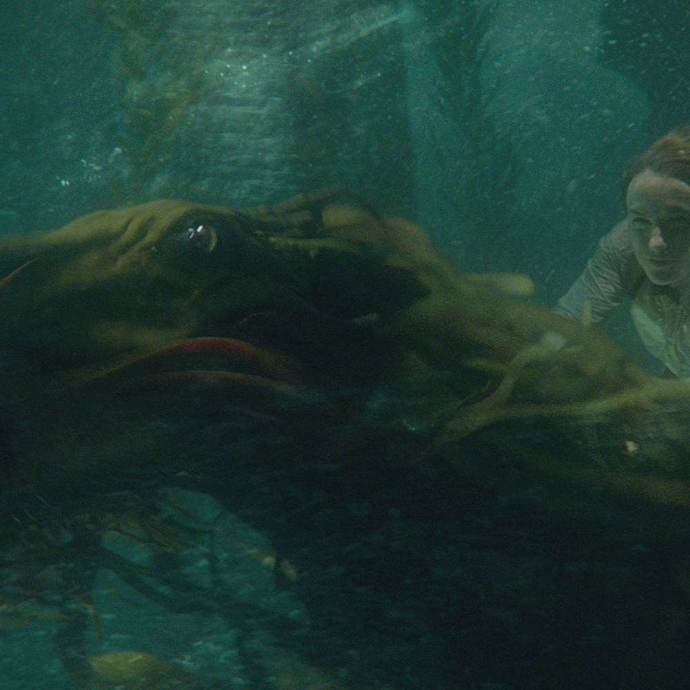 Une scène du film Fantastic Beasts: The Crimes of Grindelwald