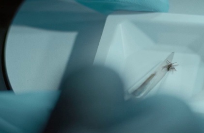 Bande-annonce en anglais