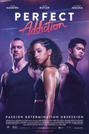 Affiche du film Perfect Addiction