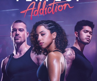 Affiche du film Perfect Addiction
