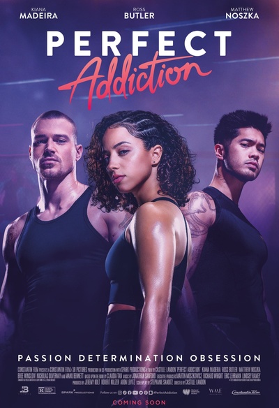 Affiche du film Perfect Addiction