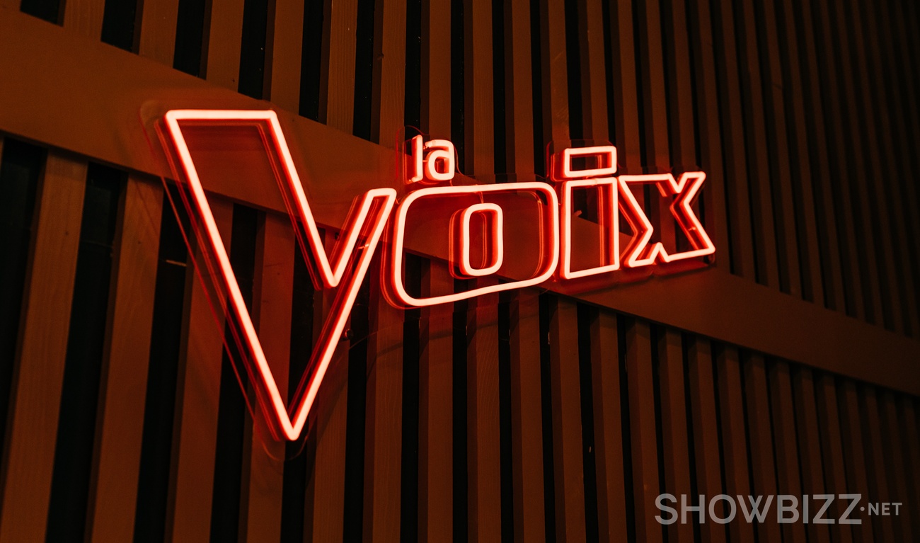 Image de l'article « La voix :» Ce coach nous fait hurler dans notre salon suite à sa décision aux Qualifications